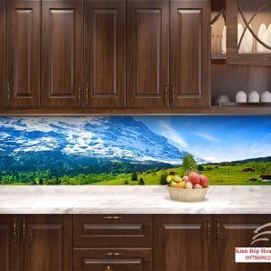 Báo giá kính in hoa văn ốp bếp