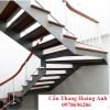 cầu thang xương cá đôi bản tôn